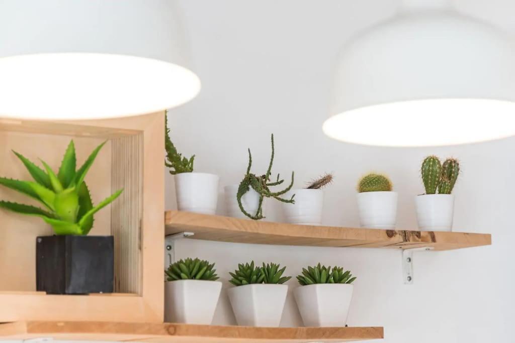 Inlapa Studio VI Porto Garden מראה חיצוני תמונה